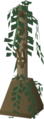 Thumbnail for version as of 23:48, 29 September 2022