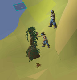 Questaholic - March 2023 032.png