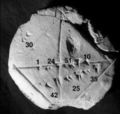 Thumbnail for version as of 12:48, 14 March 2022