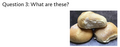Thumbnail for version as of 18:43, 22 April 2023