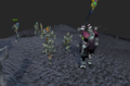 Thumbnail for version as of 12:26, 23 March 2022