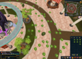 2016 Clanniversary - Cabbage Bomb 007.png
