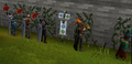 RS Misc - Skilling 002.png
