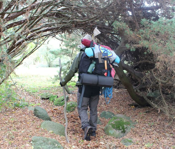 File:How to be a RL adventurer - Canopy.jpg
